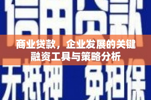 安陆商业贷款，企业发展的关键融资工具与策略分析