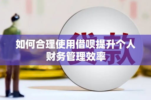 安陆如何合理使用借呗提升个人财务管理效率