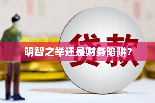 安陆明智之举还是财务陷阱？