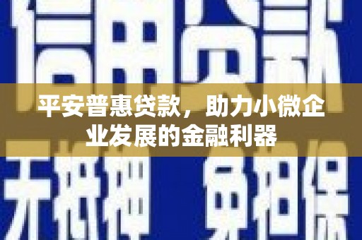安陆平安普惠贷款，助力小微企业发展的金融利器