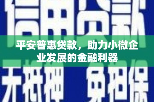 安陆平安普惠贷款，助力小微企业发展的金融利器