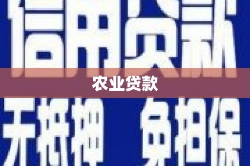 安陆农业贷款