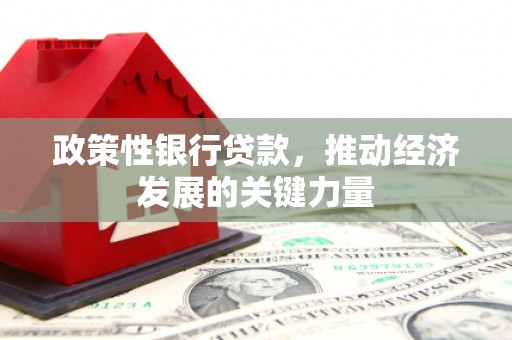 安陆政策性银行贷款，推动经济发展的关键力量