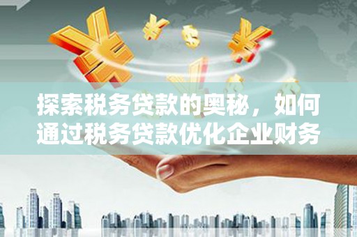 安陆探索税务贷款的奥秘，如何通过税务贷款优化企业财务