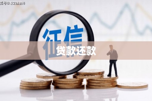 安陆贷款还款