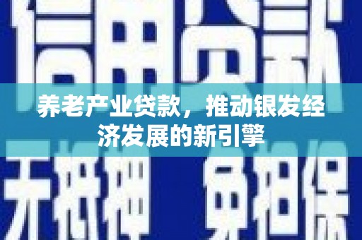 安陆养老产业贷款，推动银发经济发展的新引擎