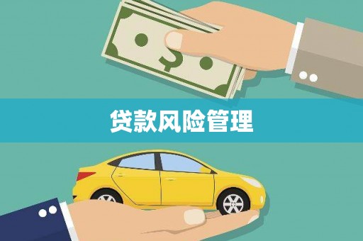 安陆贷款风险管理