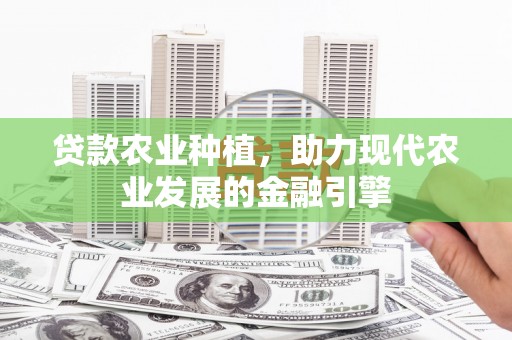 安陆贷款农业种植，助力现代农业发展的金融引擎