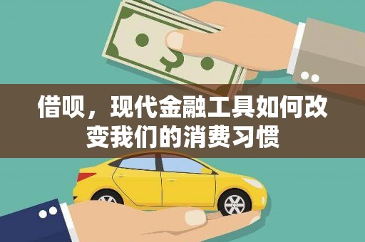 安陆借呗，现代金融工具如何改变我们的消费习惯