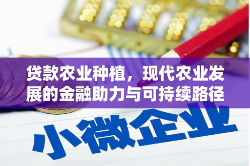 安陆贷款农业种植，现代农业发展的金融助力与可持续路径