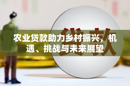 安陆农业贷款助力乡村振兴，机遇、挑战与未来展望