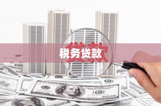 安陆税务贷款