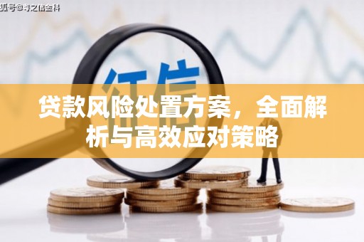 安陆贷款风险处置方案，全面解析与高效应对策略