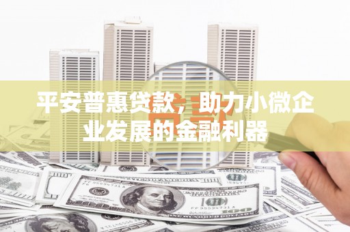 安陆平安普惠贷款，助力小微企业发展的金融利器