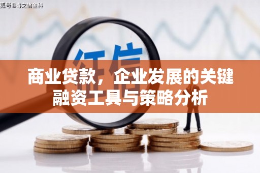 安陆商业贷款，企业发展的关键融资工具与策略分析