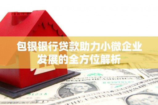 安陆包银银行贷款助力小微企业发展的全方位解析