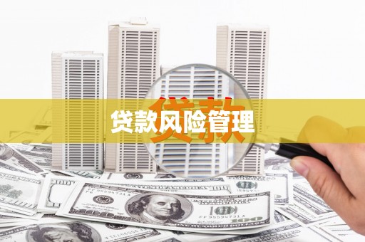 安陆贷款风险管理