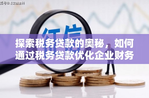 安陆探索税务贷款的奥秘，如何通过税务贷款优化企业财务