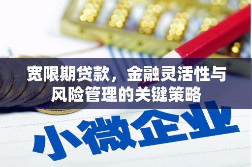 安陆宽限期贷款，金融灵活性与风险管理的关键策略