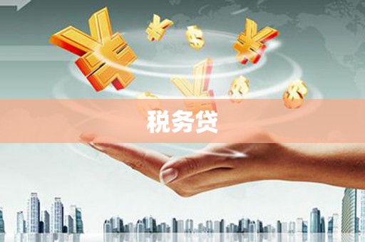 安陆税务贷