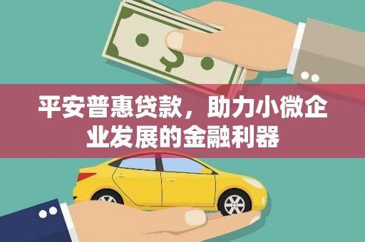 安陆平安普惠贷款，助力小微企业发展的金融利器