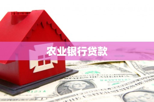 安陆农业银行贷款