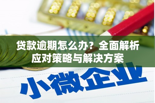 安陆贷款逾期怎么办？全面解析应对策略与解决方案
