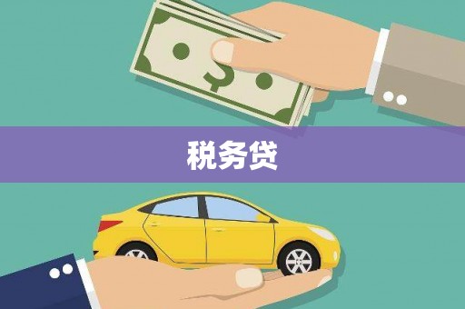 安陆税务贷