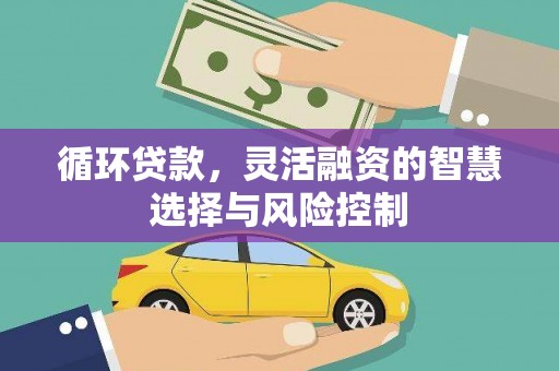安陆循环贷款，灵活融资的智慧选择与风险控制