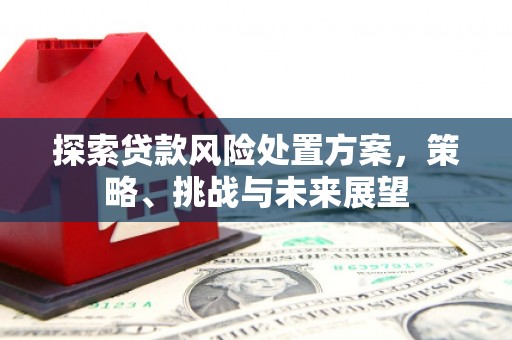 安陆探索贷款风险处置方案，策略、挑战与未来展望