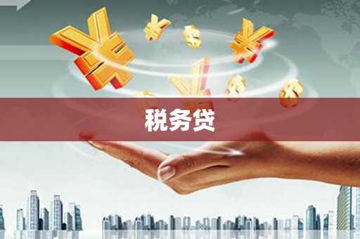 安陆税务贷
