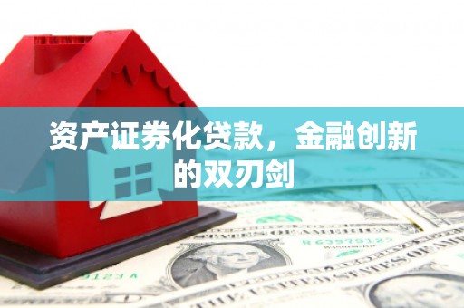 安陆资产证券化贷款，金融创新的双刃剑