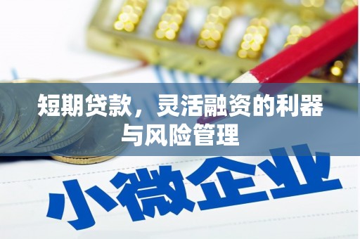 安陆短期贷款，灵活融资的利器与风险管理