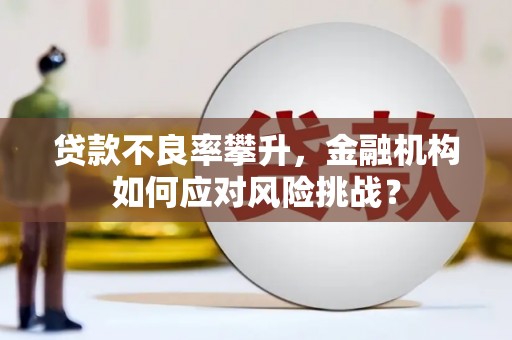 安陆贷款不良率攀升，金融机构如何应对风险挑战？