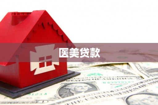 安陆医美贷款