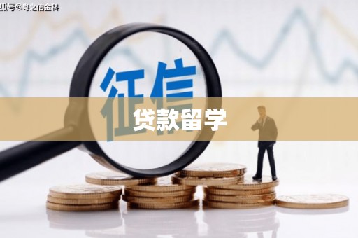 安陆贷款留学