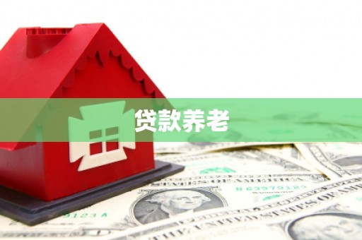 安陆贷款养老