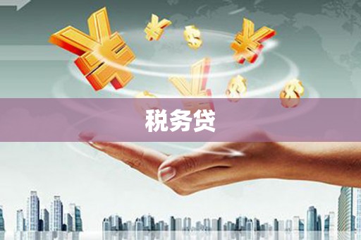 安陆税务贷