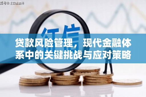 安陆贷款风险管理，现代金融体系中的关键挑战与应对策略