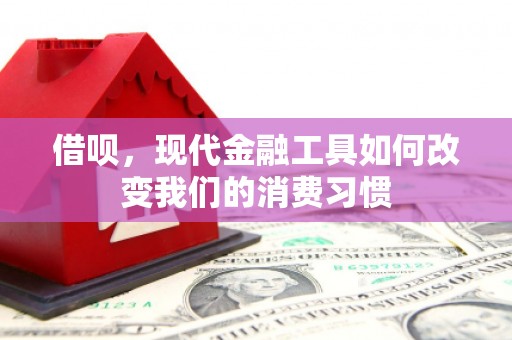 安陆借呗，现代金融工具如何改变我们的消费习惯