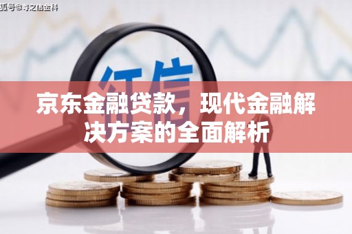 安陆京东金融贷款，现代金融解决方案的全面解析