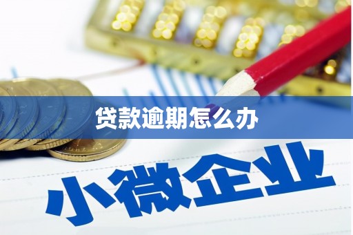 安陆贷款逾期怎么办