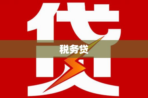 安陆税务贷