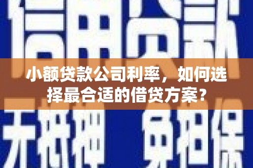 安陆小额贷款公司利率，如何选择最合适的借贷方案？