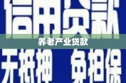 安陆养老产业贷款