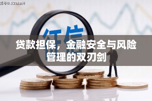 安陆贷款担保，金融安全与风险管理的双刃剑