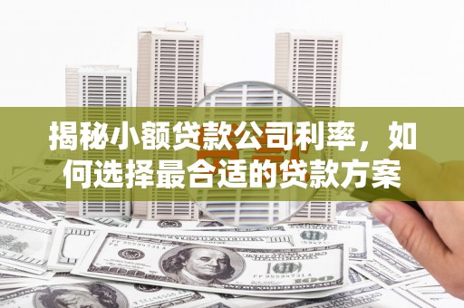 安陆揭秘小额贷款公司利率，如何选择最合适的贷款方案
