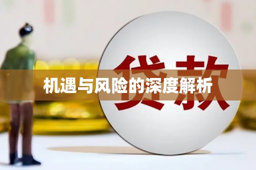 安陆机遇与风险的深度解析