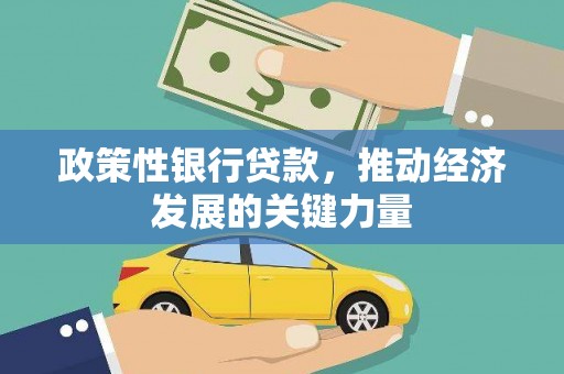 安陆政策性银行贷款，推动经济发展的关键力量