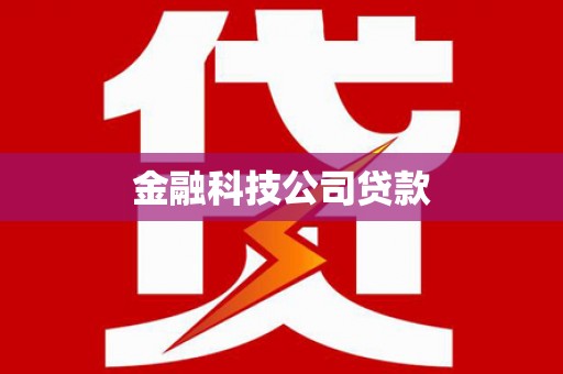 安陆金融科技公司贷款